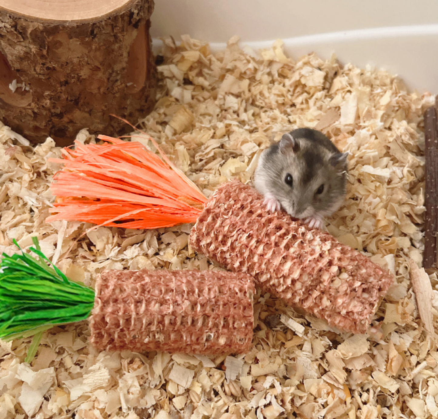 Chenpet Natural Corn Cob Small Pets Chew Play Toys