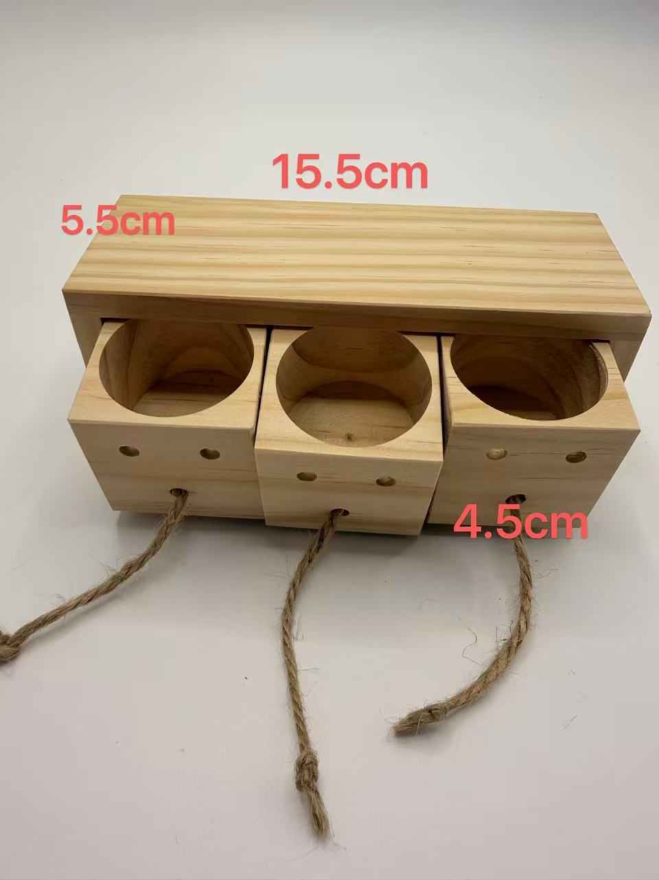 Chenpet Custom Eco-friendly Wooden Food Hide Small Pets Train Toys