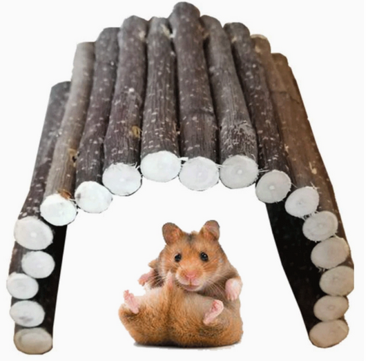 Chenpet Wholesale Natural Fruit Wood Rabbits Hamster Safe House Small Pets Hideout Toy