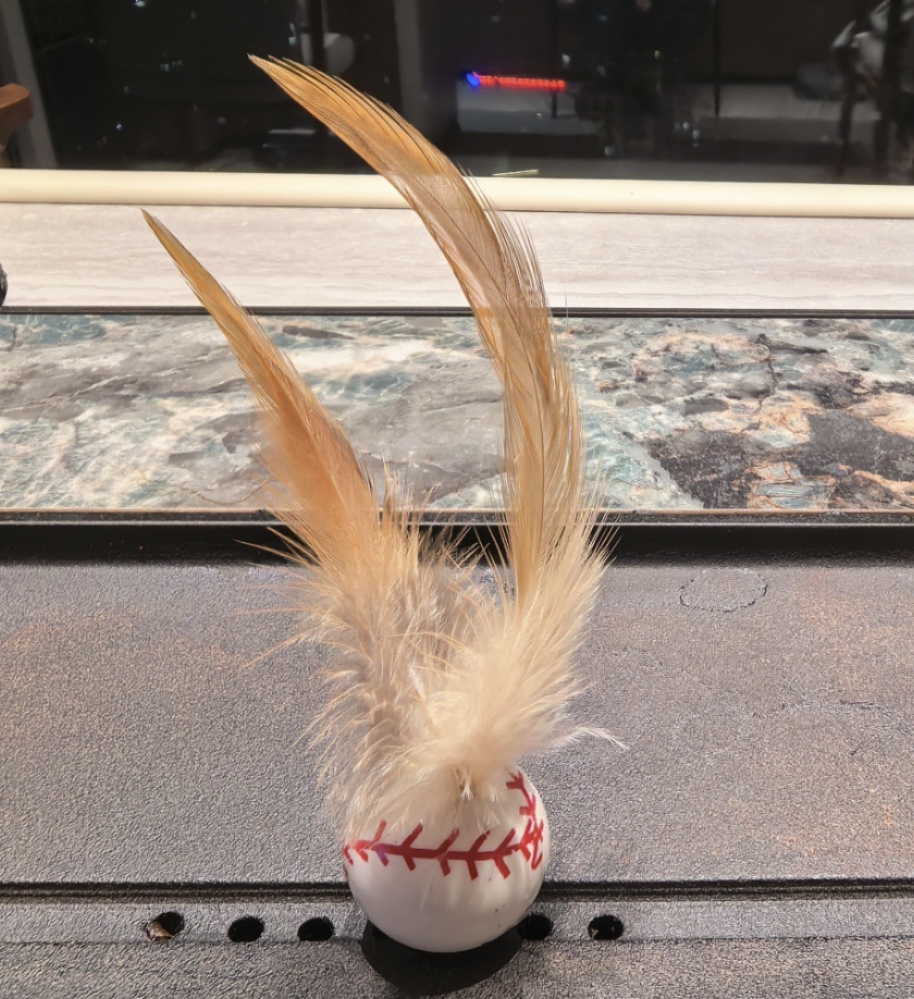 Chenpet Wholesale Pet Feather Cat Play Ball Feather Toys