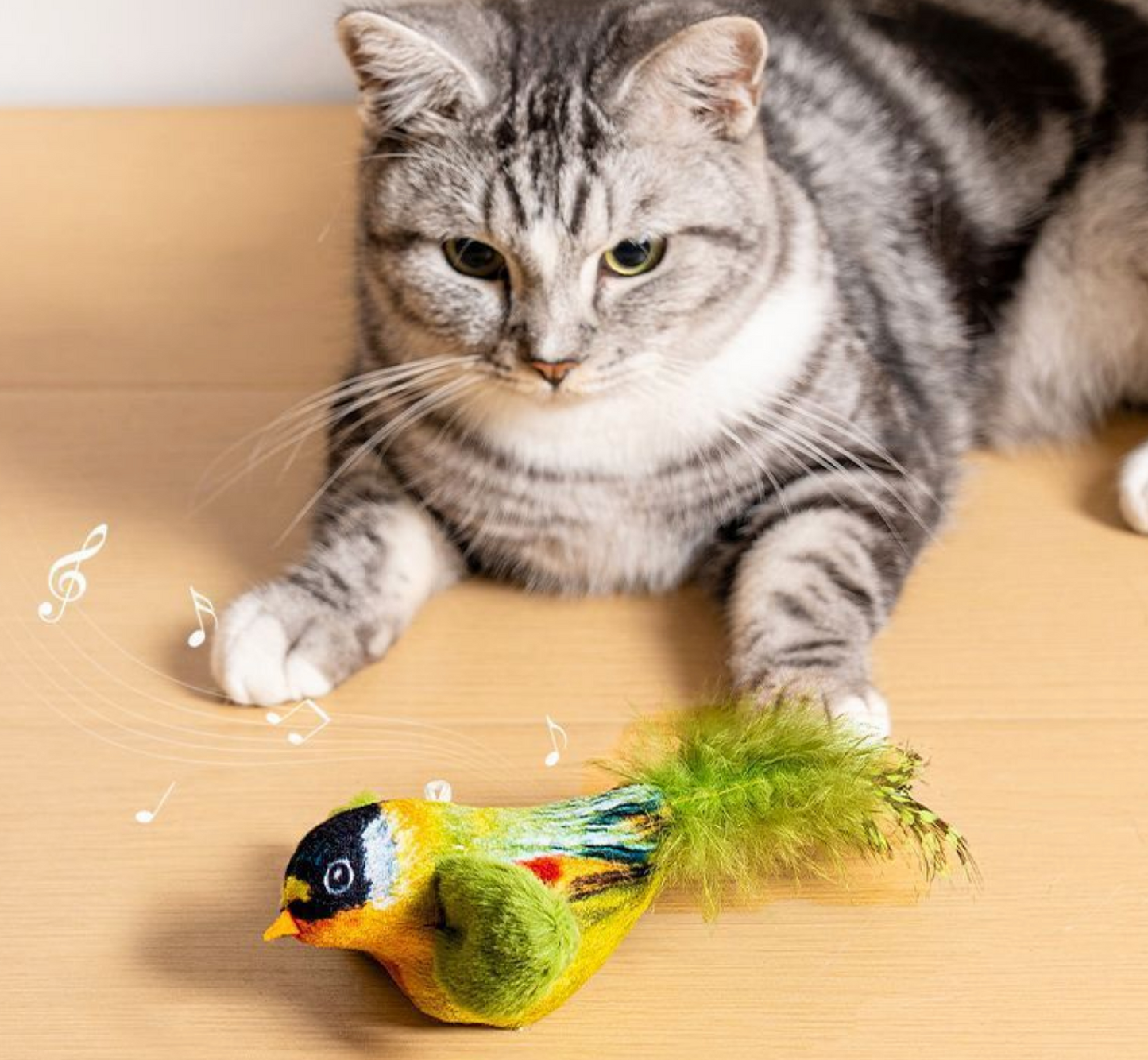 Chenpet Hot Selling Birds Design Cat Catnip Play Toys