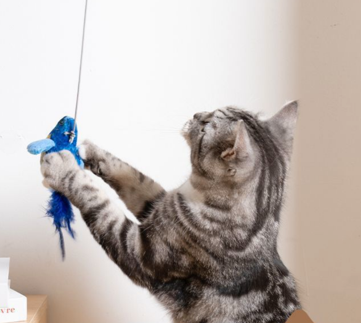 Chenpet Hot Selling Birds Design Cat Catnip Play Toys