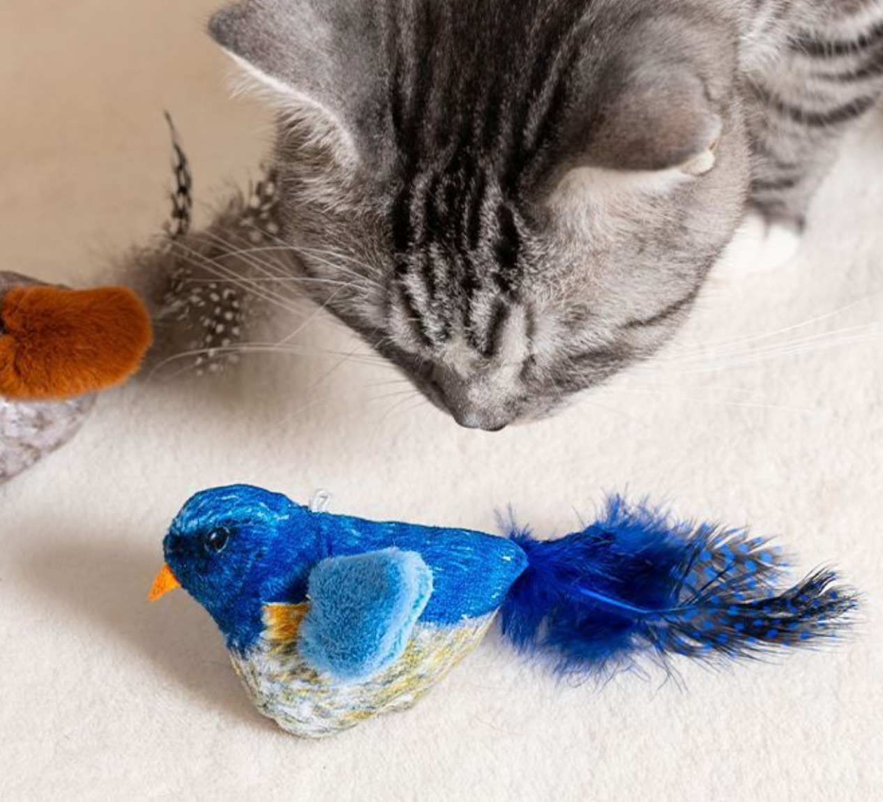 Chenpet Hot Selling Birds Design Cat Catnip Play Toys