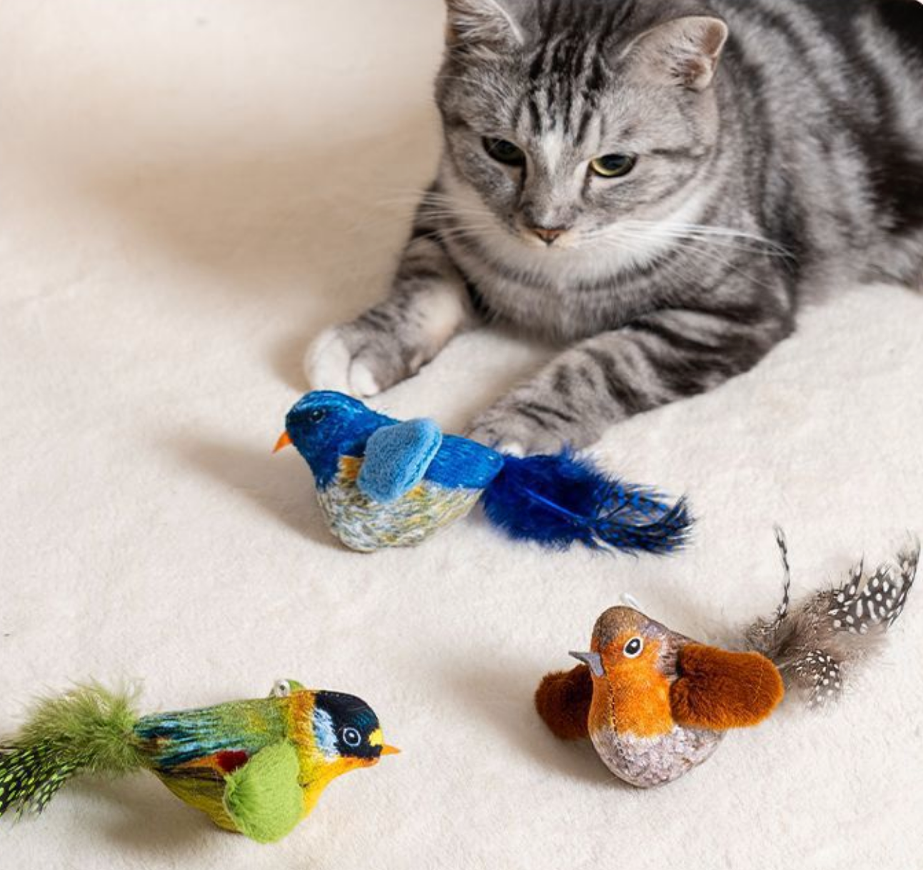 Chenpet Hot Selling Birds Design Cat Catnip Play Toys