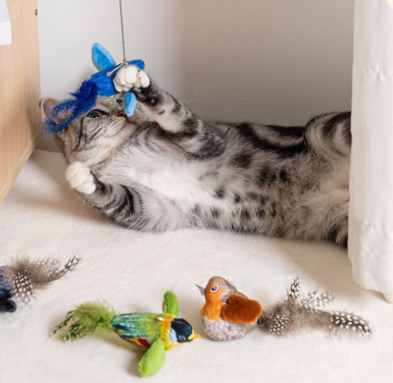 Chenpet Hot Selling Birds Design Cat Catnip Play Toys