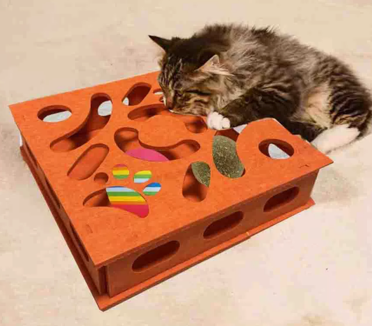 Chenpet Custom Nonwoven Fabric Cat Puzzle Toys