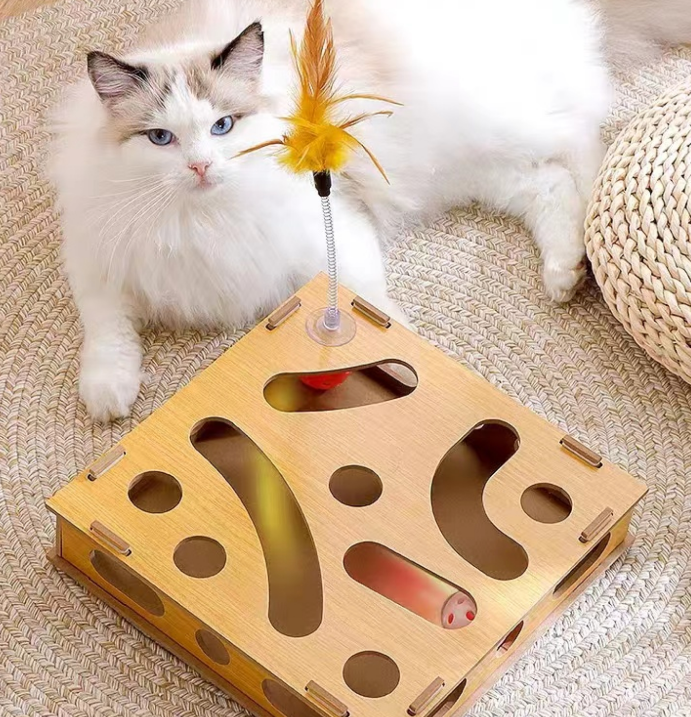 Chenpet Manufacturer Wooden Pattern Track Cat Play Toys