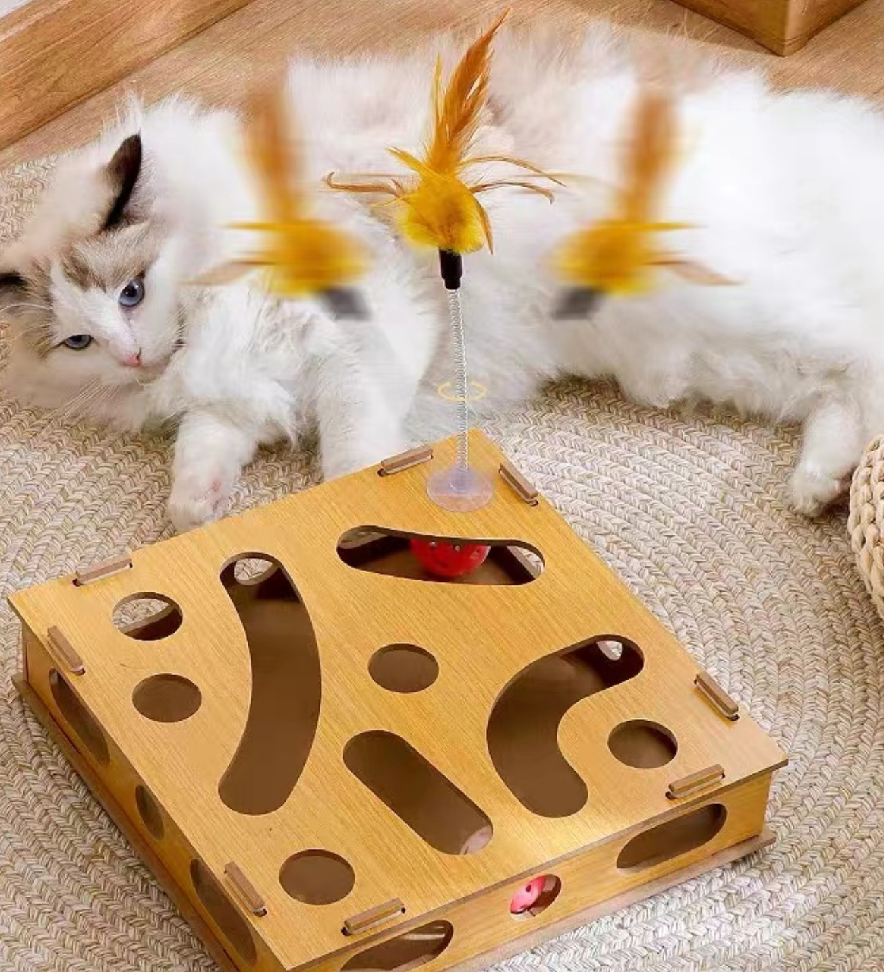 Chenpet Manufacturer Wooden Pattern Track Cat Play Toys