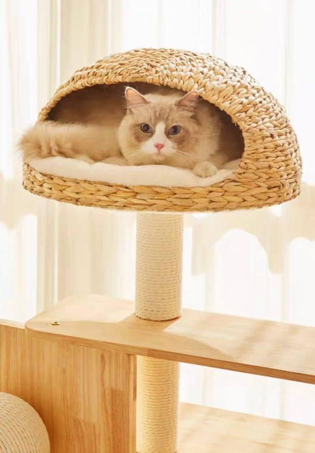 Chenpet Large Solid Wooden Cat Trees Pet Wooden House Cat Play &Rest