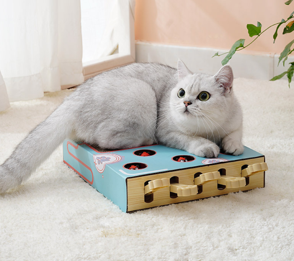 Cat Corrugated Paper Pet Play Toy