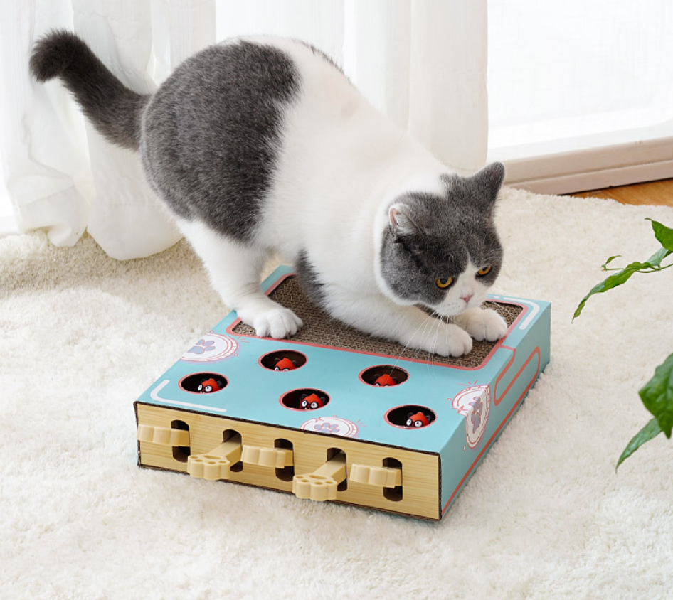 Cat Corrugated Paper Pet Play Toy