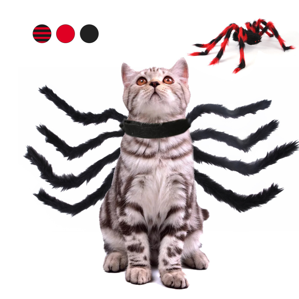 New Design Spider Style Halloween High Quality Pet Accessories