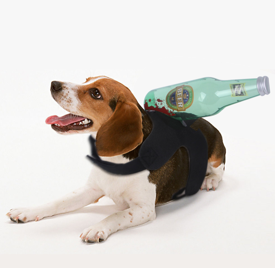 Chenpet Wholesale Halloween Pet Accessories Pet Toys