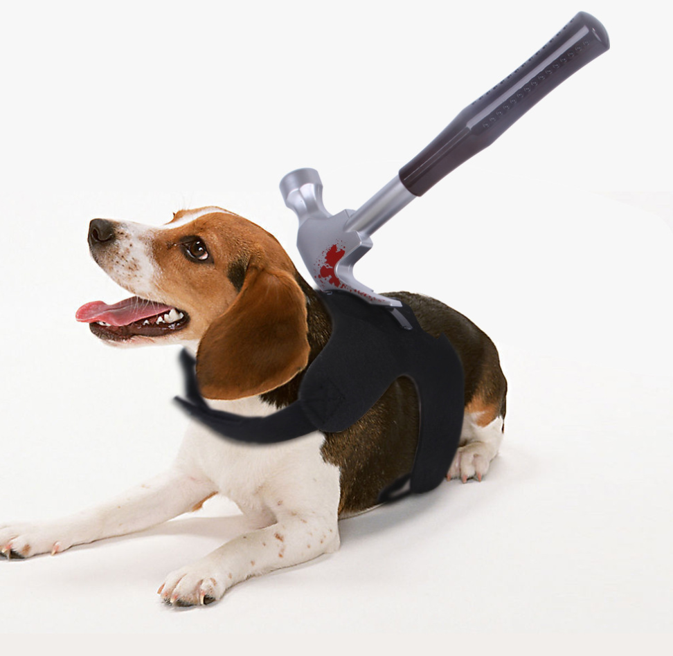 Chenpet Wholesale Halloween Pet Accessories Pet Toys