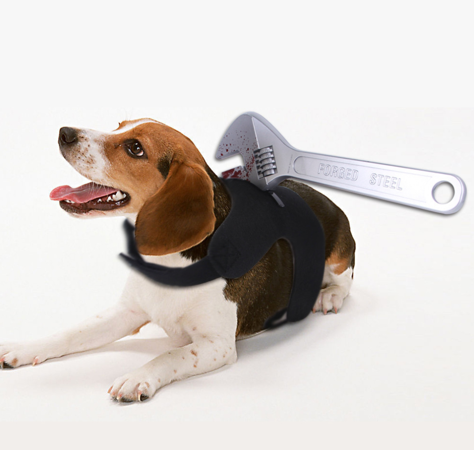 Chenpet Wholesale Halloween Pet Accessories Pet Toys