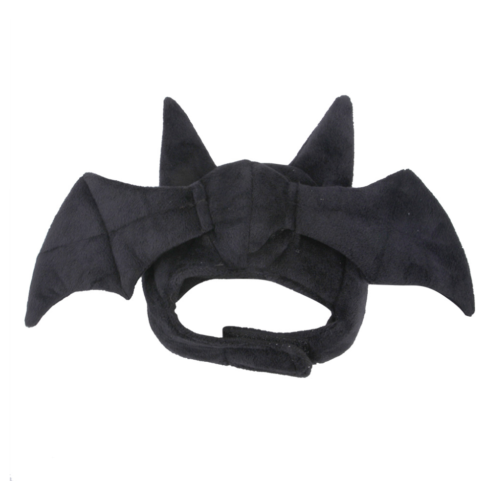 Chenpet High Quality Pet Accessories Pet Toys