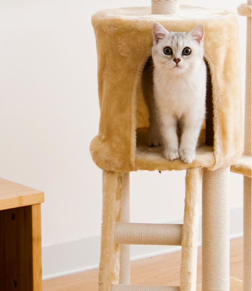Durable High Quality Big Customized Cat Tree