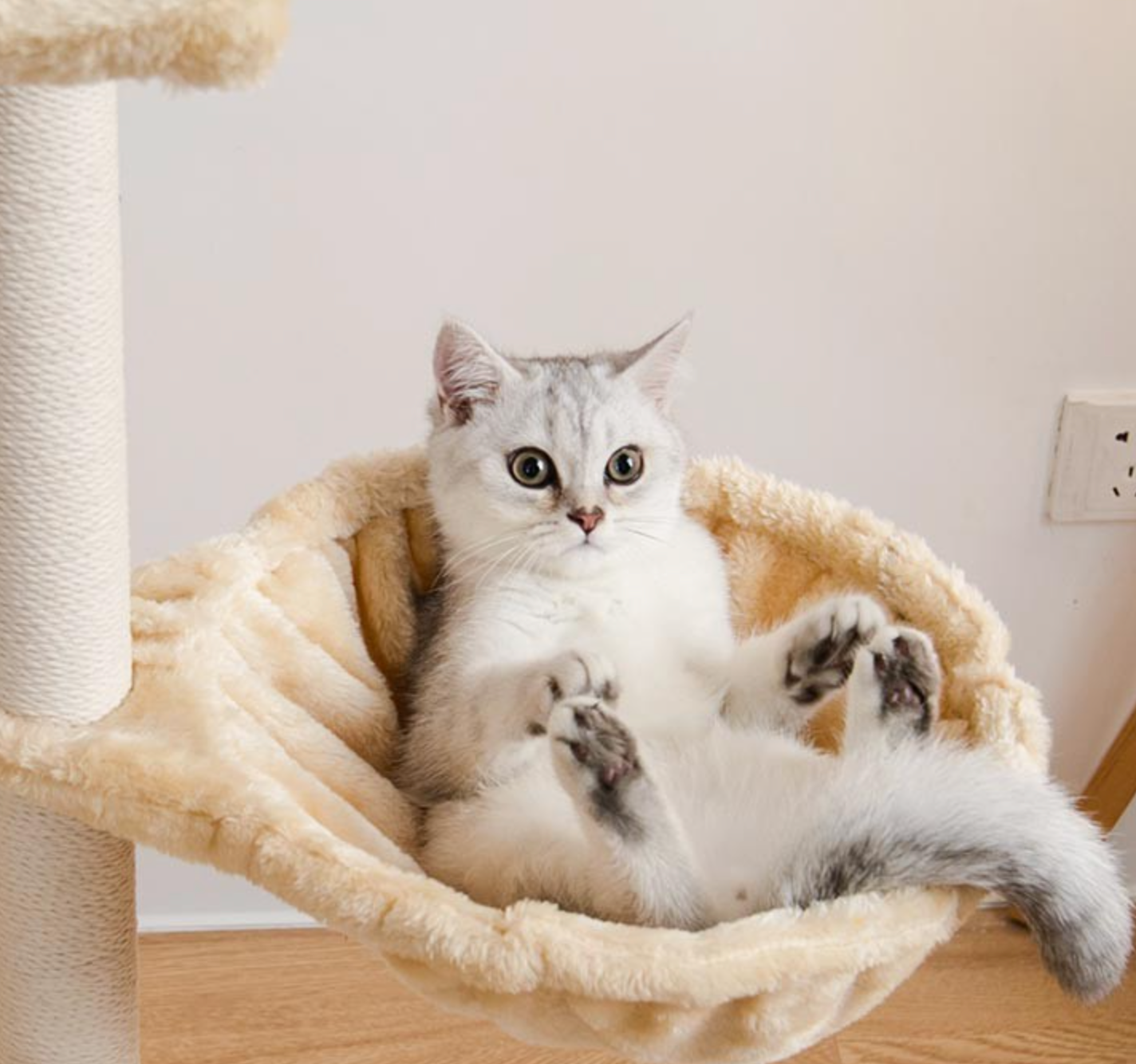 Durable High Quality Big Customized Cat Tree