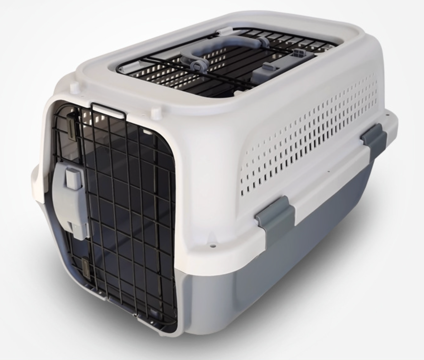 New Arrival Breathable Outside Pet Airline Box