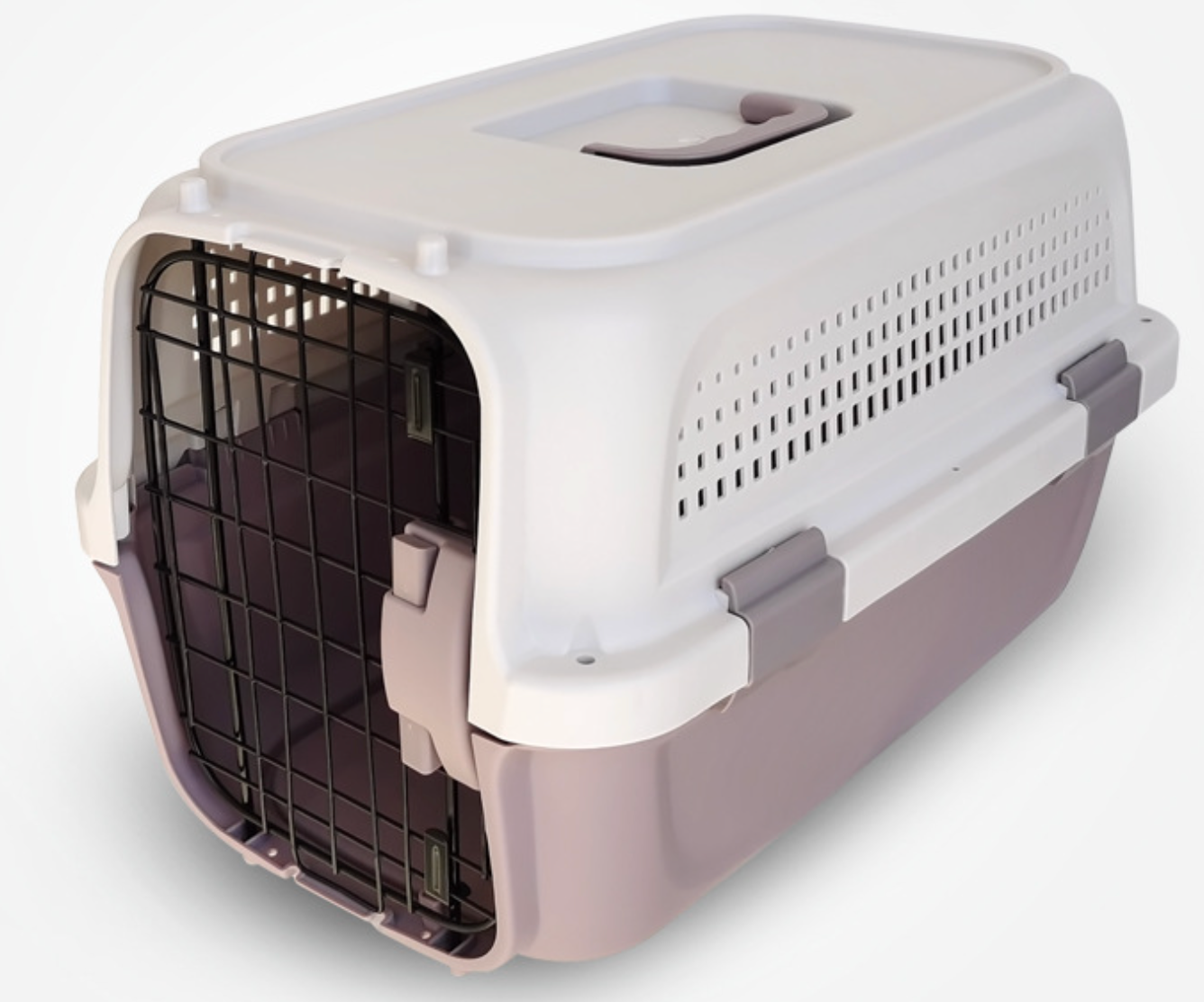 New Arrival Breathable Outside Pet Airline Box