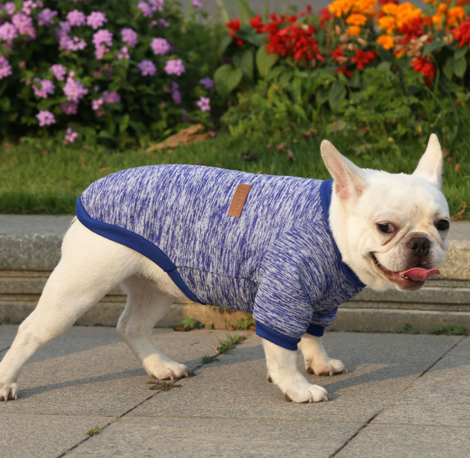 Colorful Multi Choice Autumn &Winter Pet Costumes