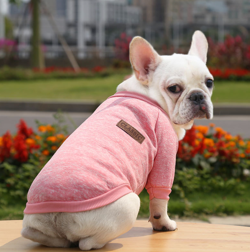 Colorful Multi Choice Autumn &Winter Pet Costumes