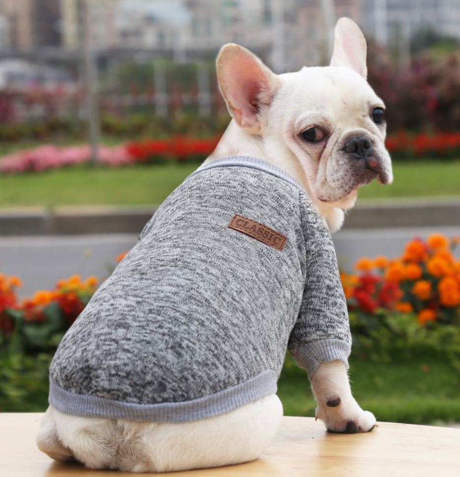 Colorful Multi Choice Autumn &Winter Pet Costumes