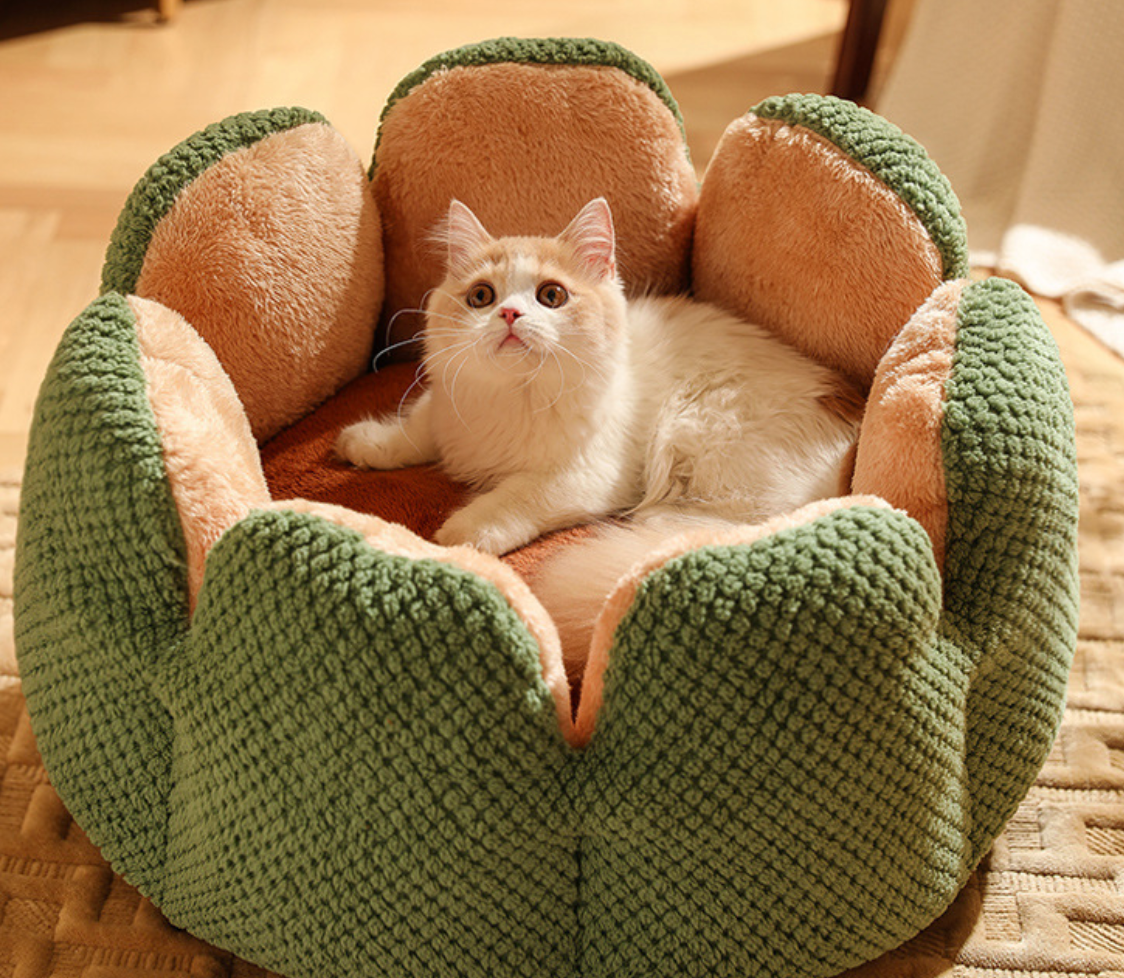 Chenpet New Design Flower Style Plush Winter Pet Beds Cat Bed
