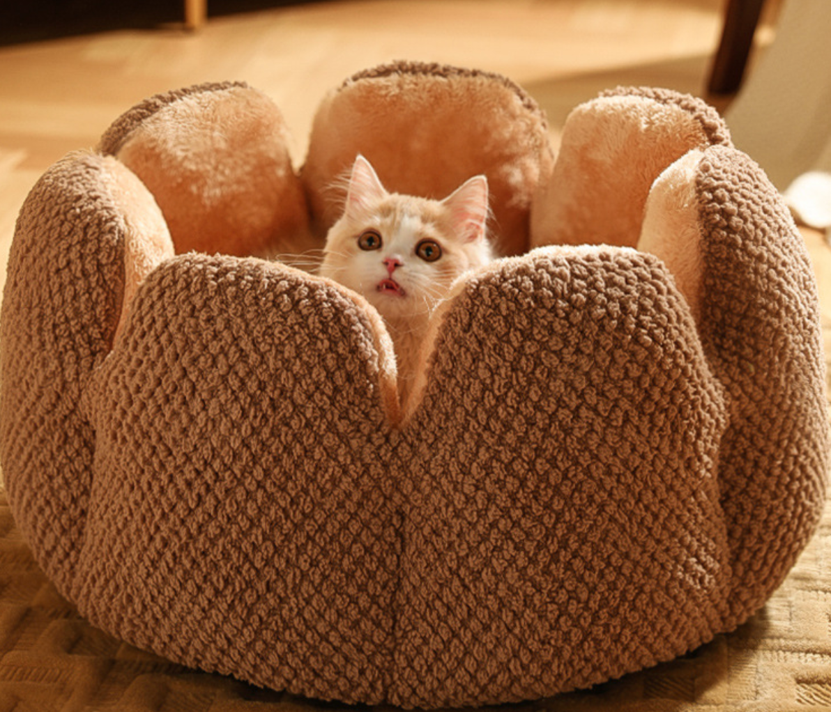 Chenpet New Design Flower Style Plush Winter Pet Beds Cat Bed