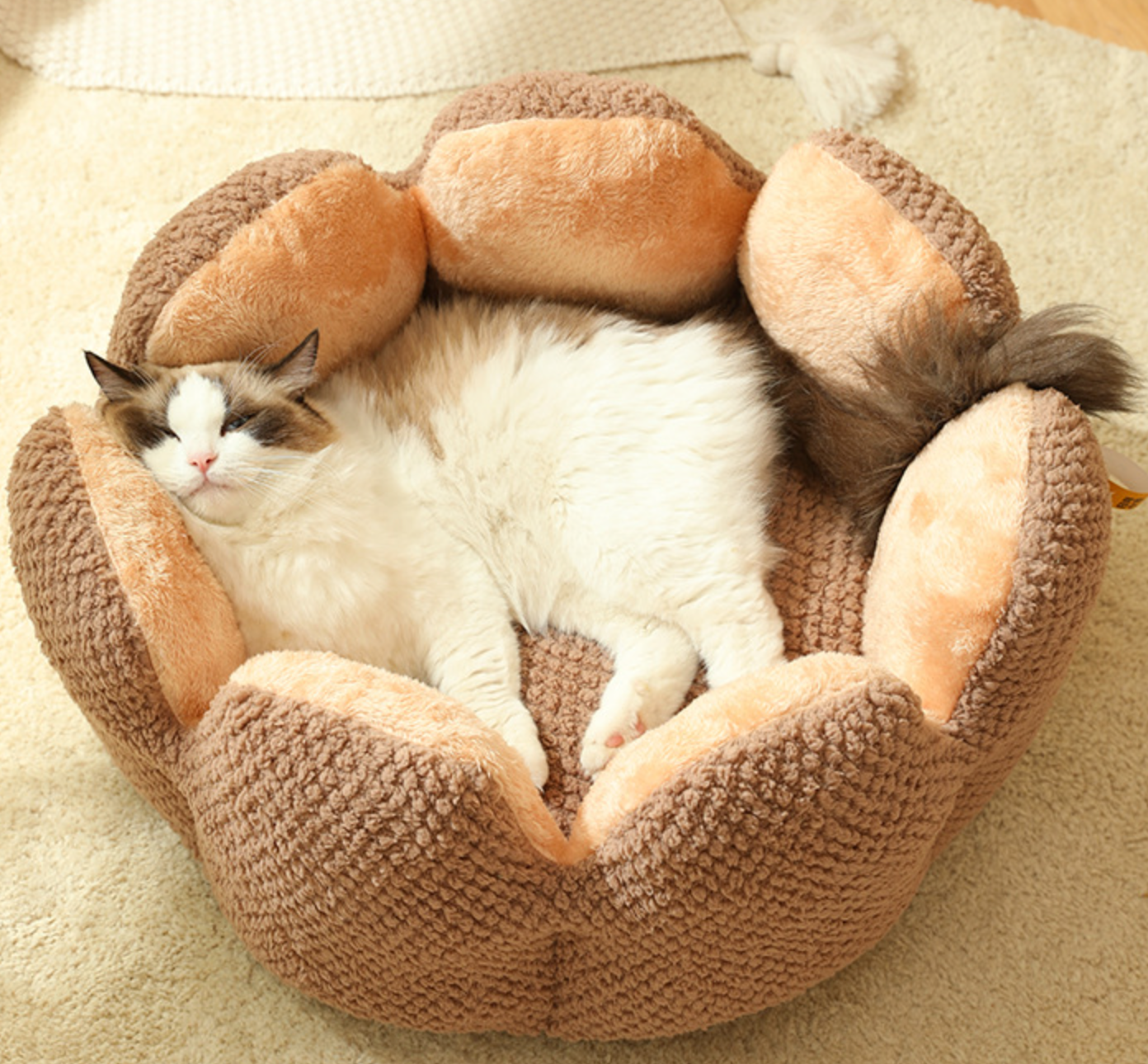 Chenpet New Design Flower Style Plush Winter Pet Beds Cat Bed