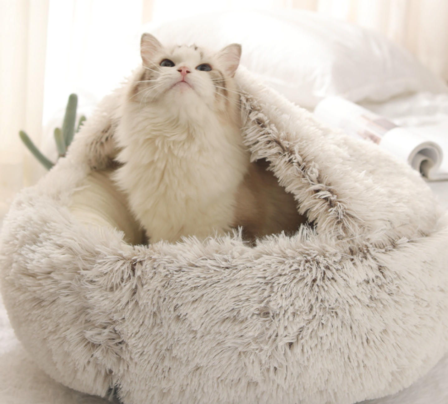 Chenpet Wholesale Upgraded Version Cozy Plush Pet Bed Cat Customized Bed