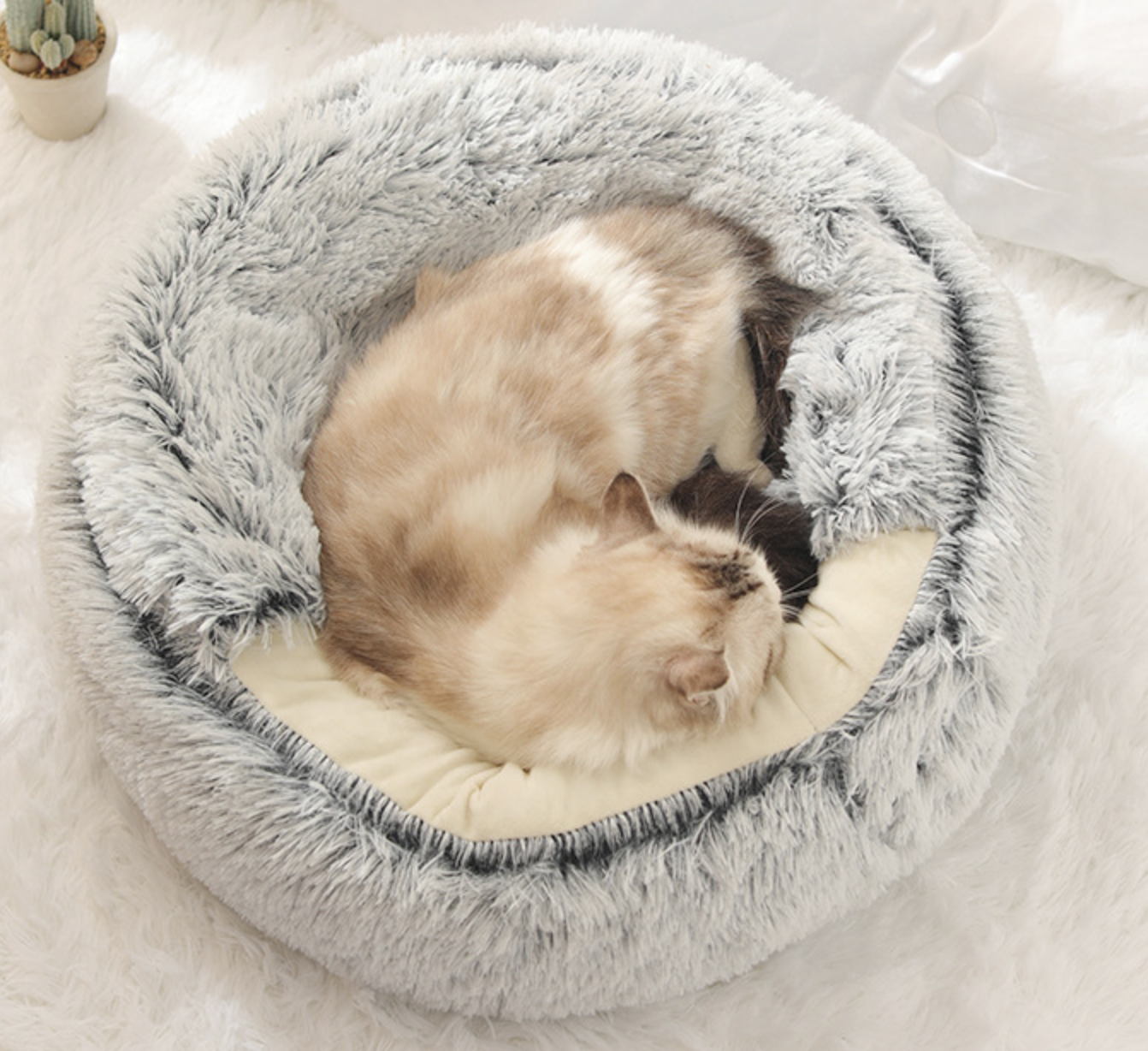 Chenpet Wholesale Upgraded Version Cozy Plush Pet Bed Cat Customized Bed