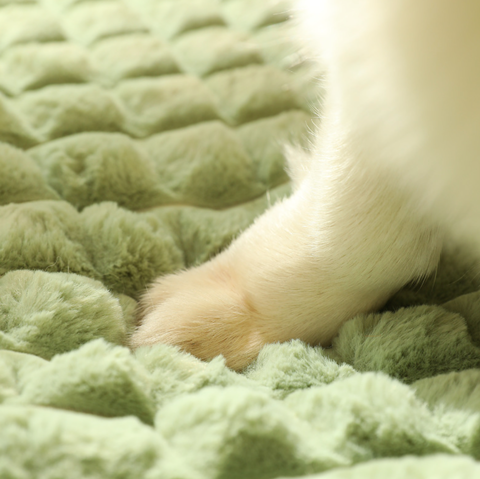 Durable High Quality Memory Foam Pet Bed Dog Large Beds
