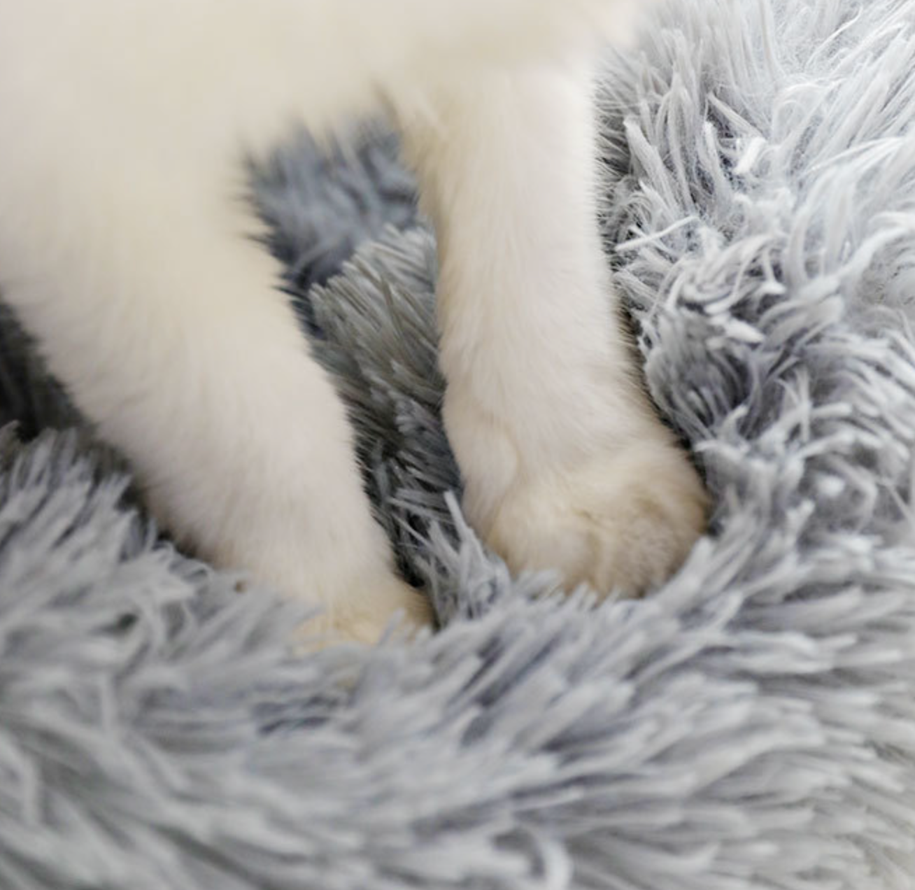 Classic Plush Pet Cozy Beds Colorful Dog Beds Easy Wash Cat Beds
