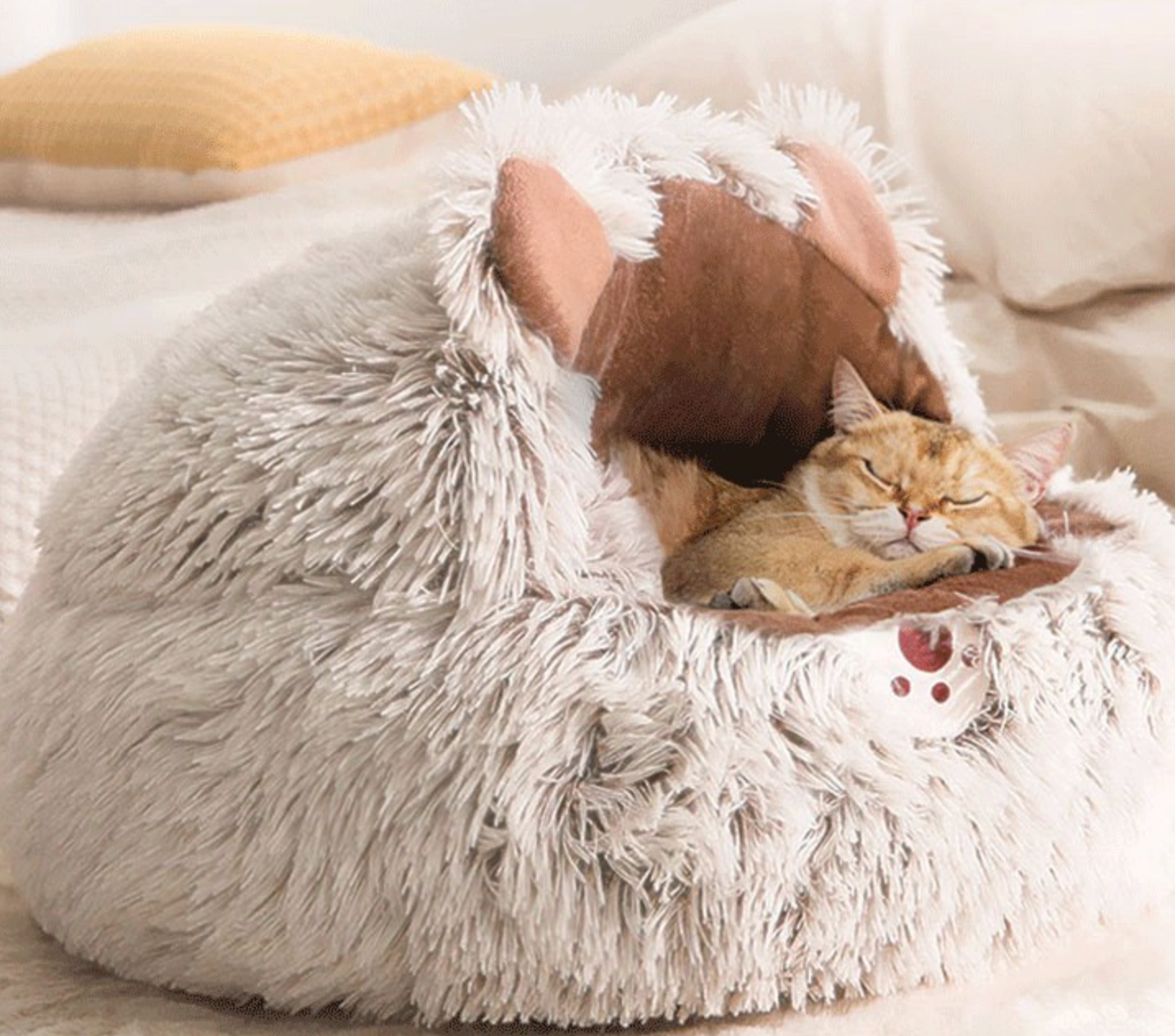 Chenpet Wholesale Soft Plush Pet Bed Lovely Winter Dog Bed Cat Beds