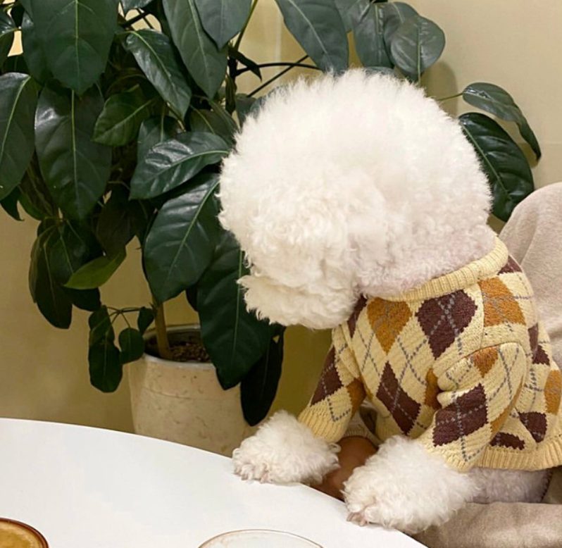 High Quality Warm Pet Cloth Knit Dog Apparel