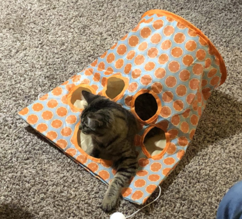 Hot Selling Three-layer Material Cat Tunnels Pet Play Bag With High Quality
