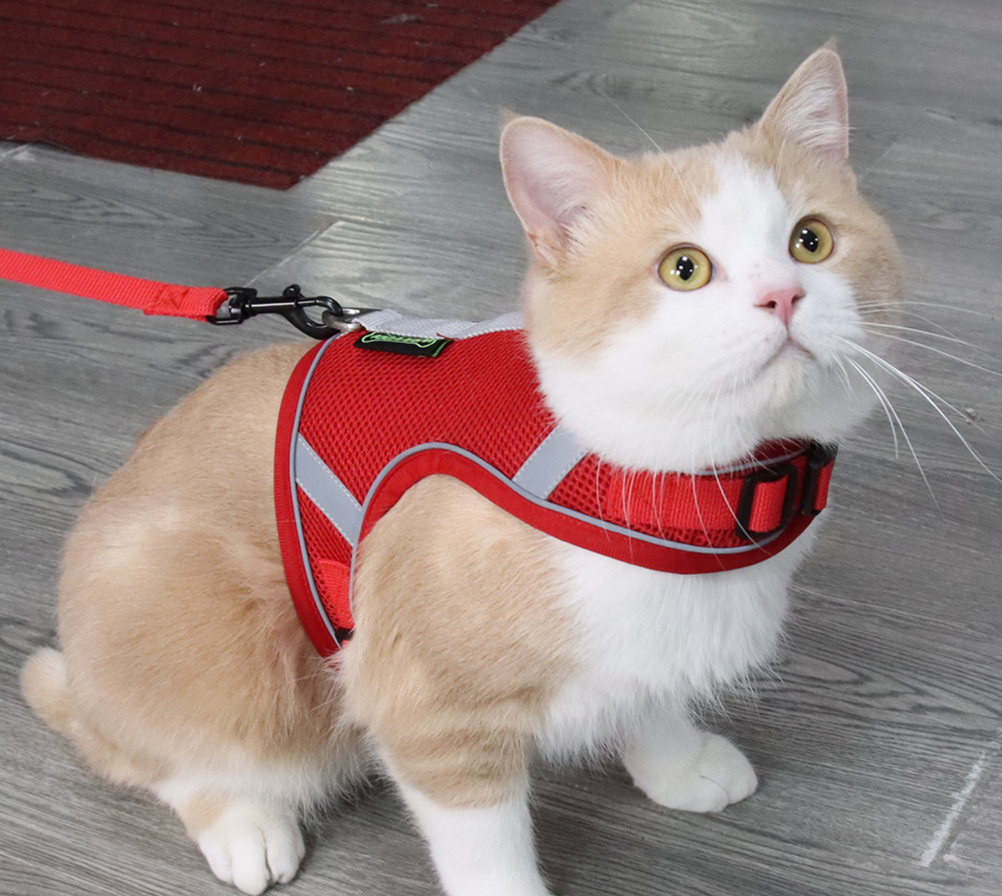 High Quality Breathable Light Reflective Pet Harness