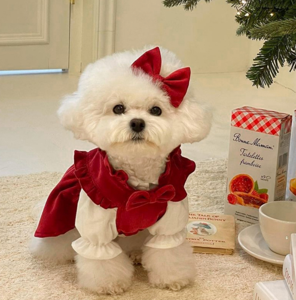 Chen Pet Wholesale Pet Apparels Dog Clothes Made In China
