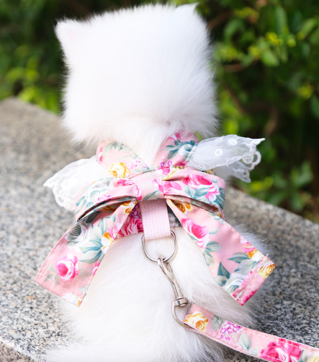 Chen Pet High Quality Pet Harness Dog Harness Dog Accessories