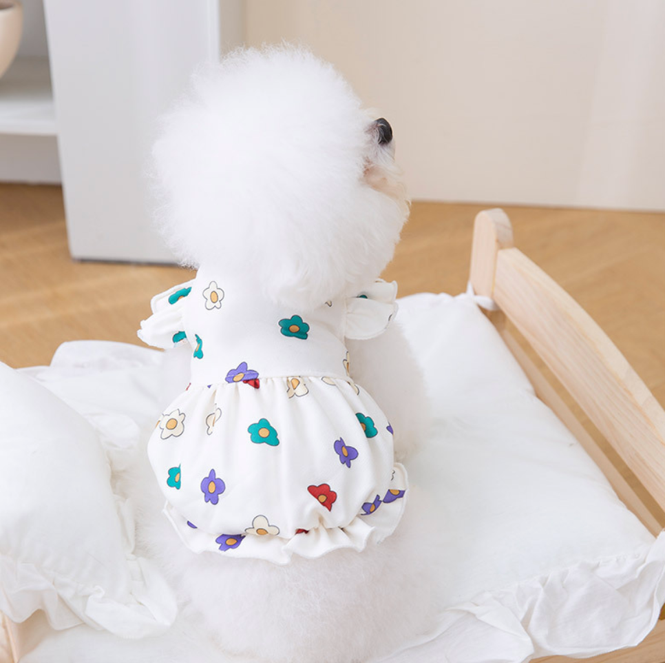 Chenpet Wholesale Cotton Dog Spring & Summer Dresses