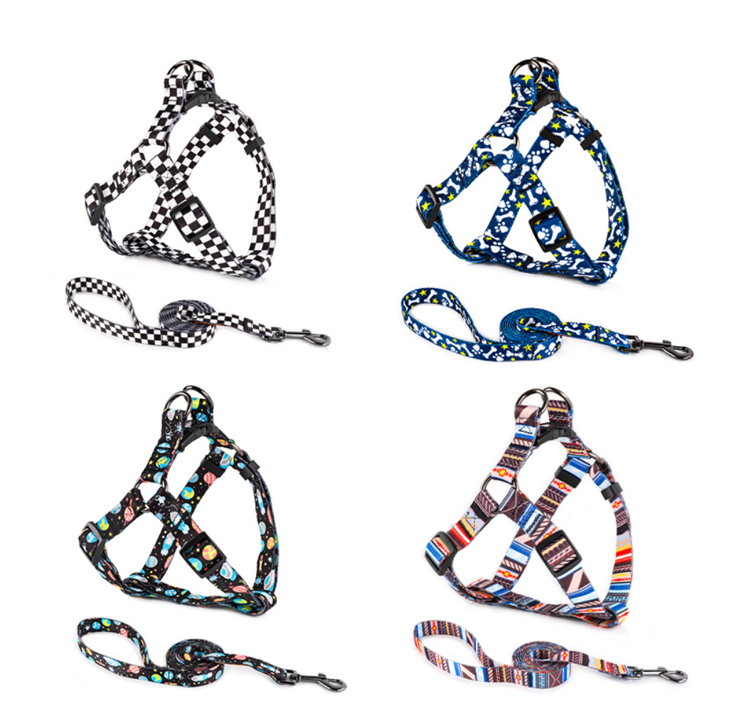 Chenpet Wholesale Pet Collar Custom Dog Collar& leash Design