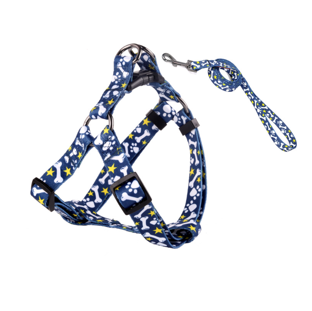Chenpet Wholesale Pet Collar Custom Dog Collar& leash Design