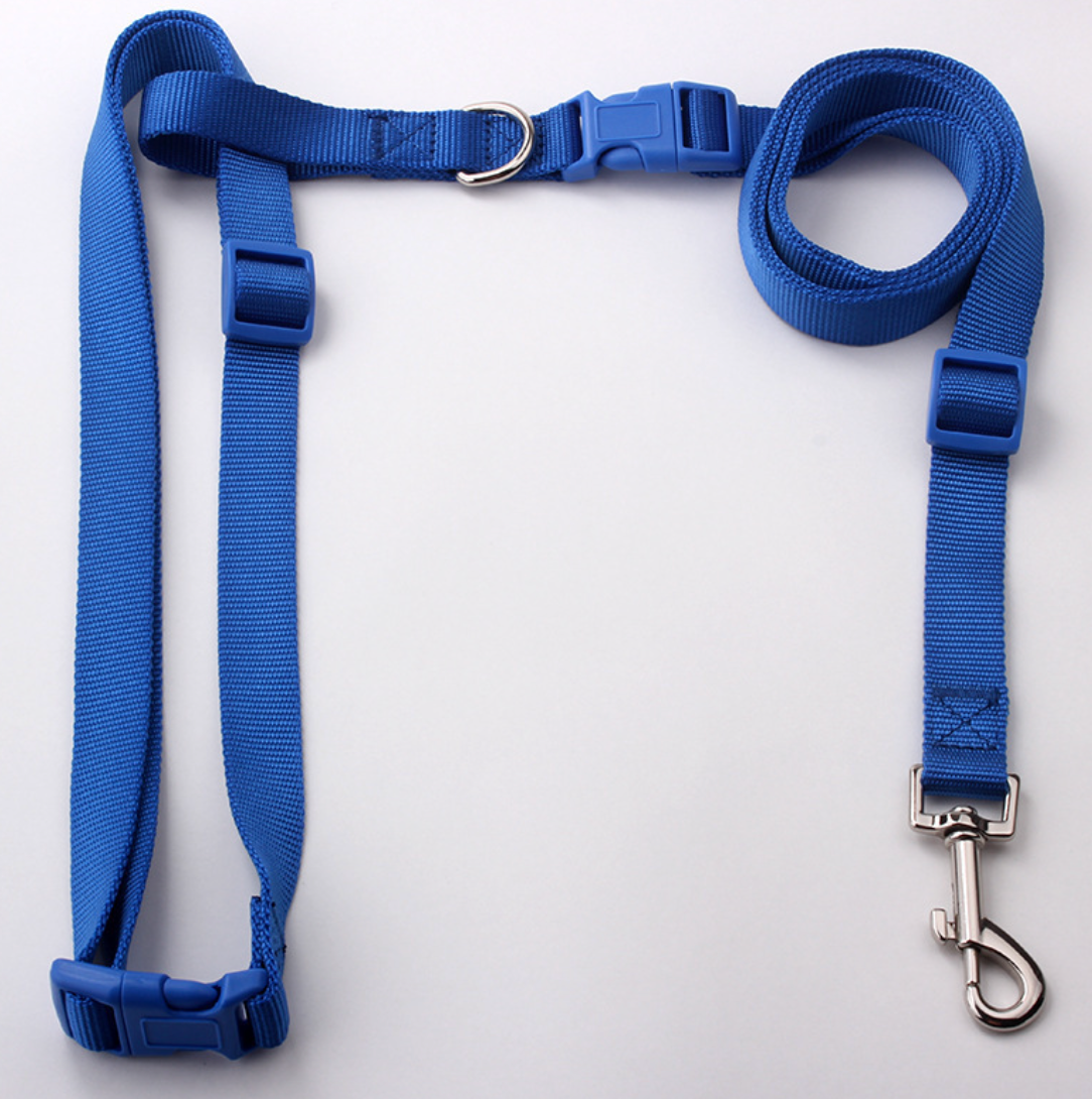 Chenpet Manufacturing Pet Leashes Customized Dog Leashes