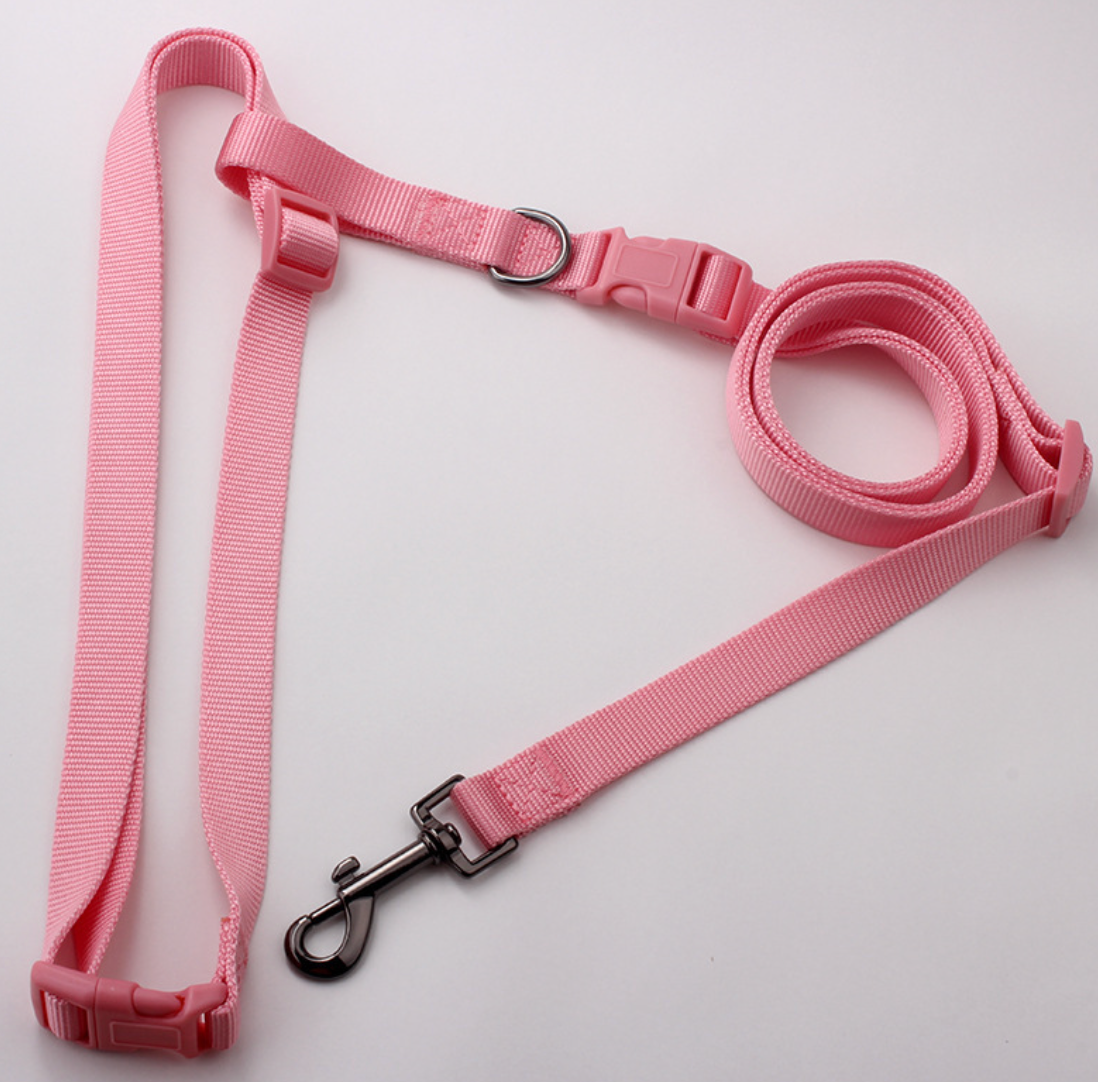 Chenpet Manufacturing Pet Leashes Customized Dog Leashes