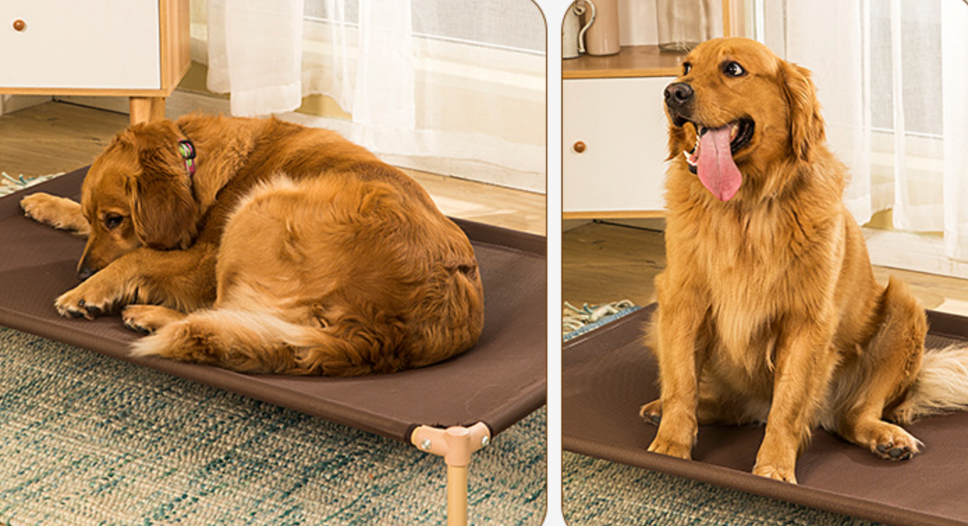 Chenpet New Design Steel Breathable Damp-proof Pet Dog Beds