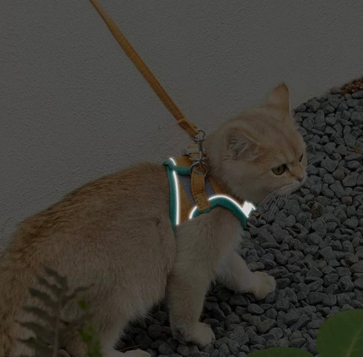 Joint Color Pet Cat Chest &Leash