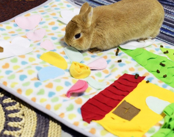 Manufacturer Polar fleece Pet Snuffle Mat