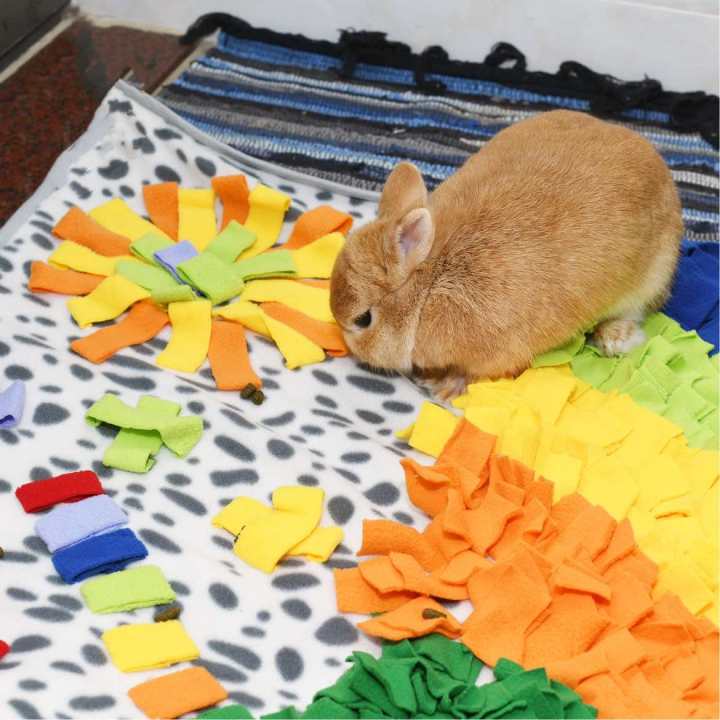 Hot Selling Colorful Pet Snuffle Mats