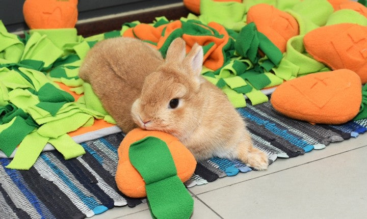 New Carrot Design Pet Snuffle Eat Slowly Mat